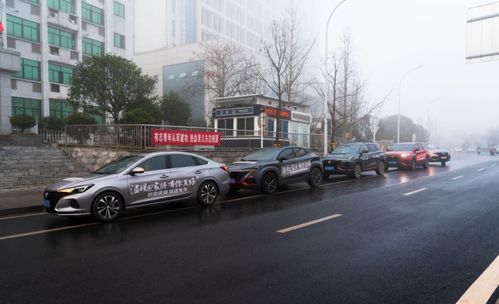 销量位居中国品牌第一,长安汽车夺冠背后是客户经营再进阶