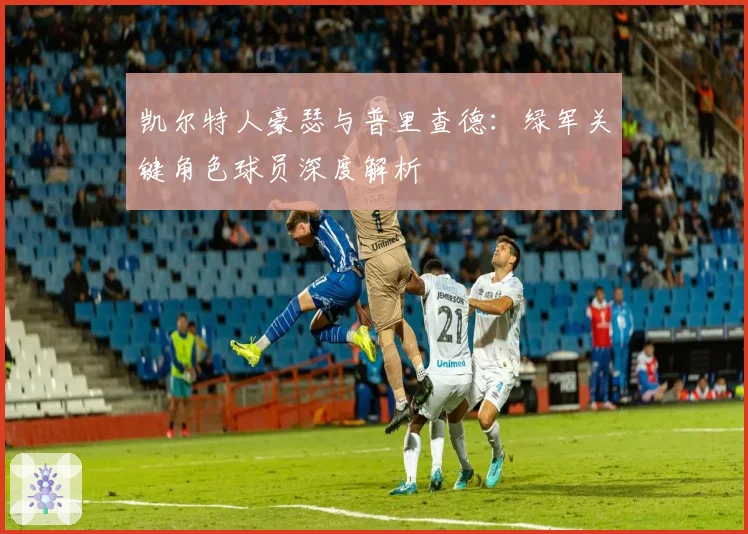 凯尔特人豪瑟与普里查德：绿军关键角色球员深度解析