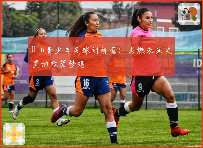 U16青少年足球训练营：点燃未来之星的绿茵梦想