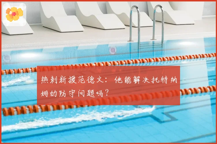 热刺新援范德文：他能解决托特纳姆的防守问题吗？