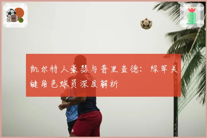凯尔特人豪瑟与普里查德:绿军关键角色球员深度解析