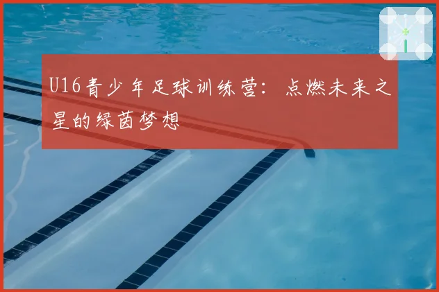 U16青少年足球训练营:点燃未来之星的绿茵梦想