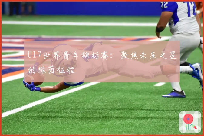 U17世界青年锦标赛:聚焦未来之星的绿茵征程