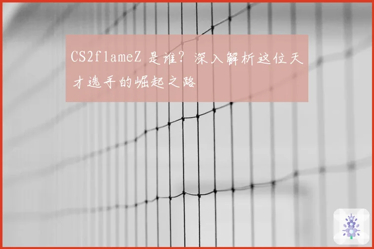 CS2flameZ 是谁?深入解析这位天才选手的崛起之路