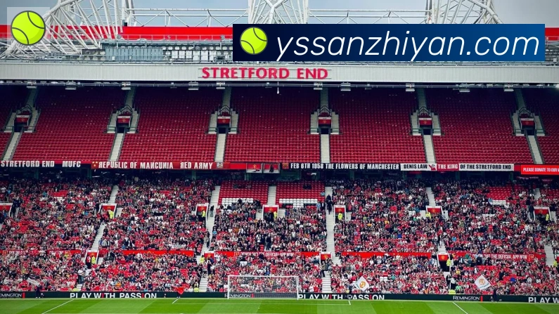 App Interface Preview