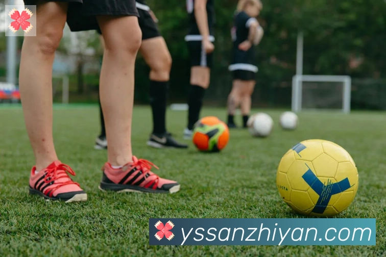 必一运动app官网入口荣誉